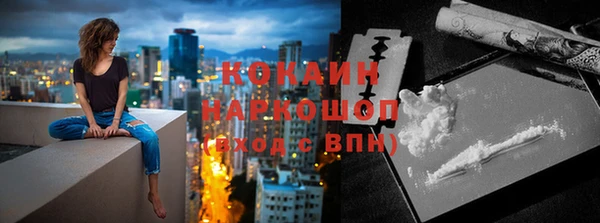 гидра Михайловка