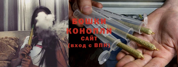 твердый Михайлов