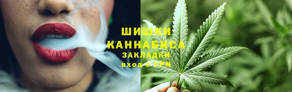 мдпв Медногорск