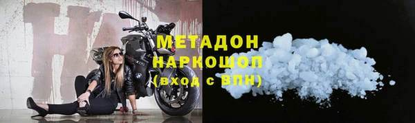 гидра Михайловка