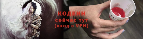 гидра Михайловка