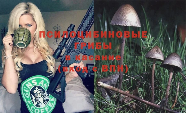 бошки Михайловск