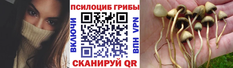 Псилоцибиновые грибы MAGIC MUSHROOMS  Приморско-Ахтарск 