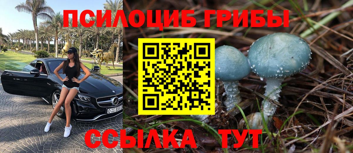 Галлюциногенные грибы ЛСД  дарнет шоп  Приморско-Ахтарск  Вход с VPN 